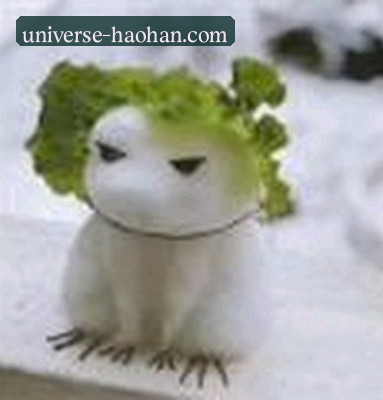 丽丽